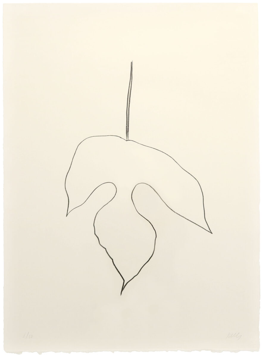 Mulberry Leaf, 1979-1980